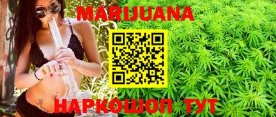 сатива Балахна
