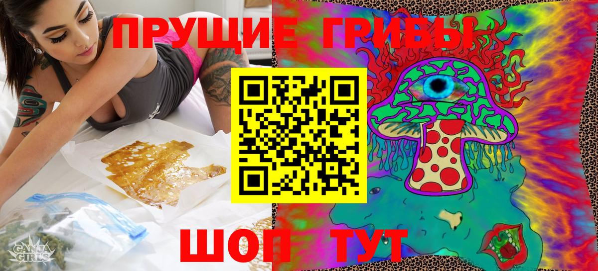 Псилоцибиновые грибы GOLDEN TEACHER Дедовск
