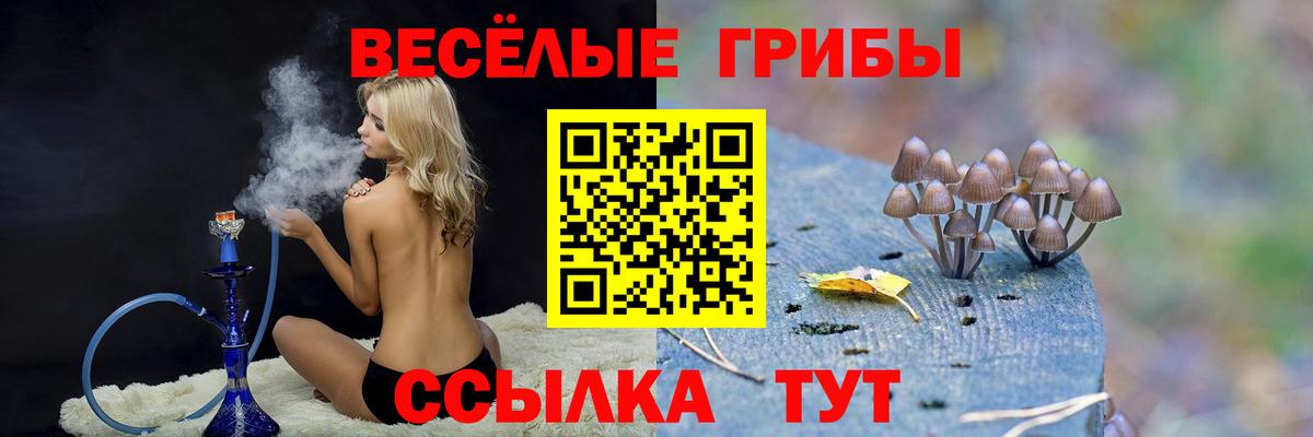 Галлюциногенные грибы прущие грибы  Галлюциногенные грибы Psilocybe  Дедовск  Вход с VPN 